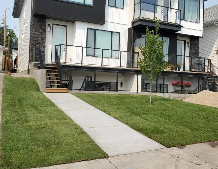 Balanced landscape design with trees providing shade and visual appeal