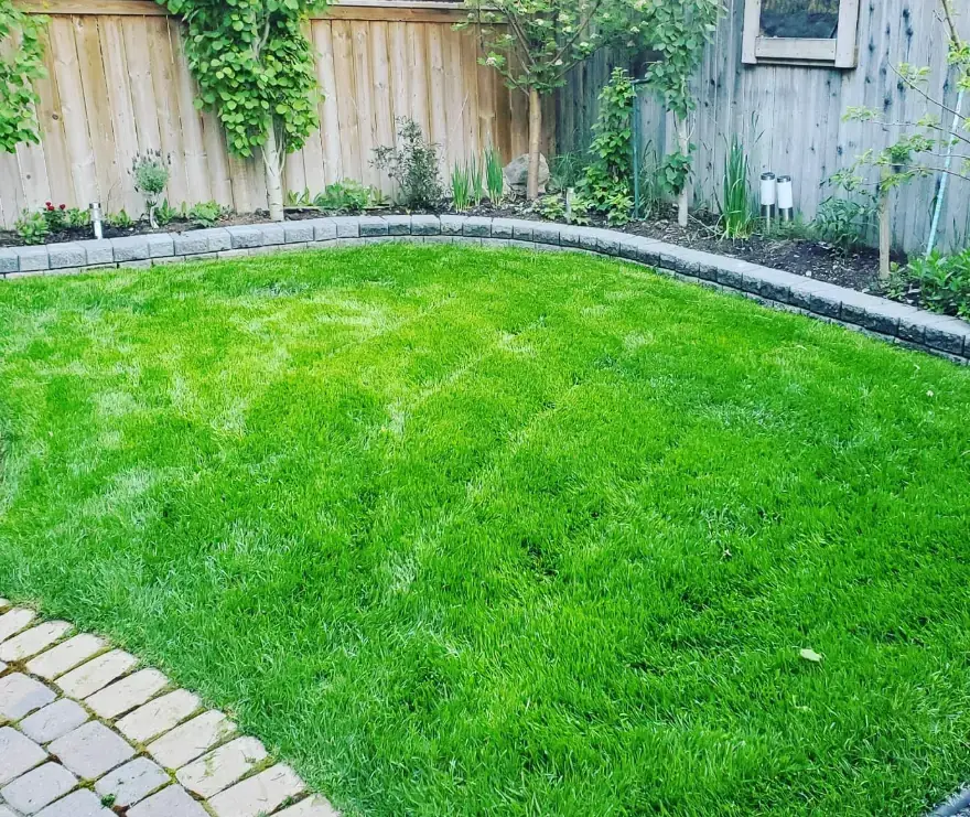Professional landscaping work by Bizzi Boyz in Calgary