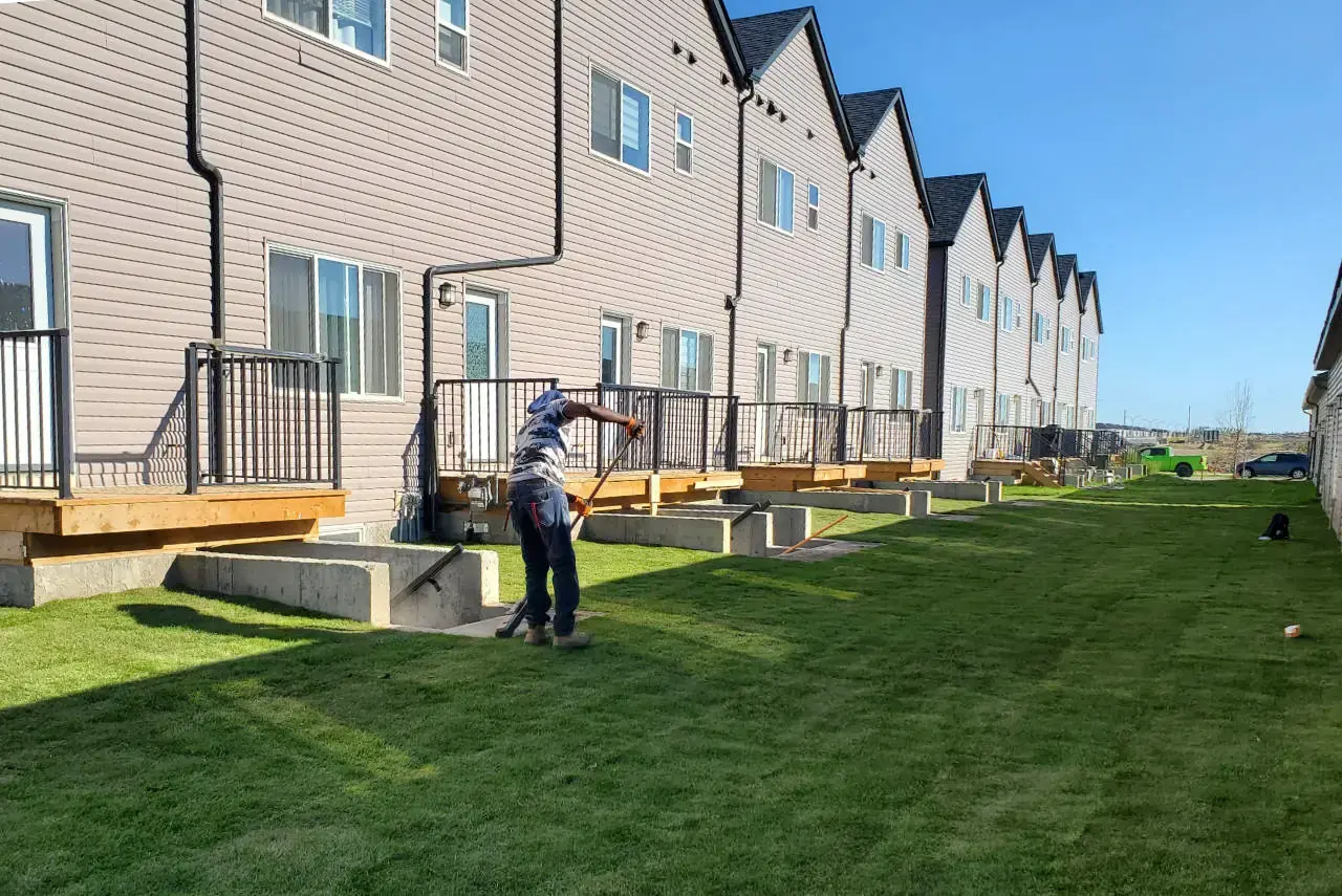 Fresh sod installation creating an instant lush green lawn