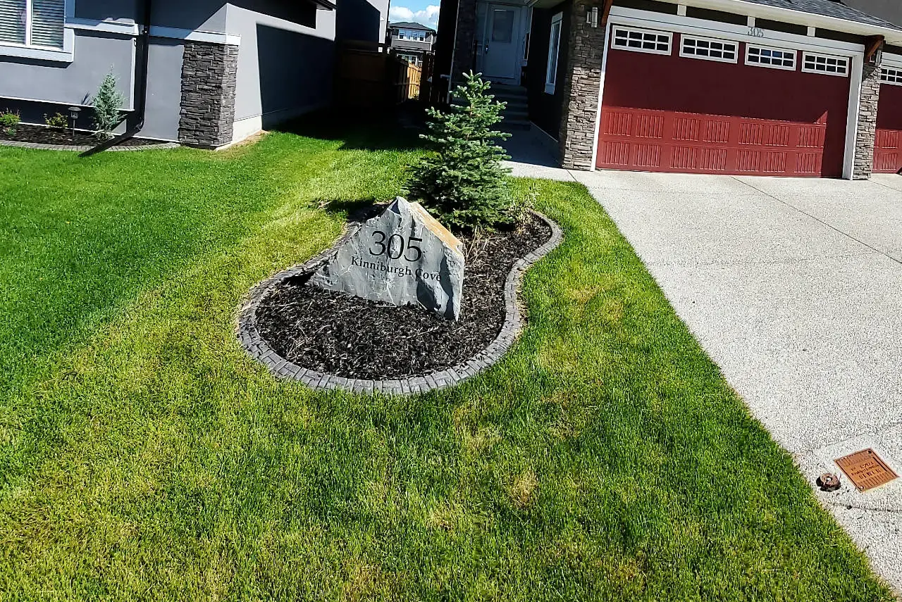 Artistic landscaping with decorative trees and layered plant design