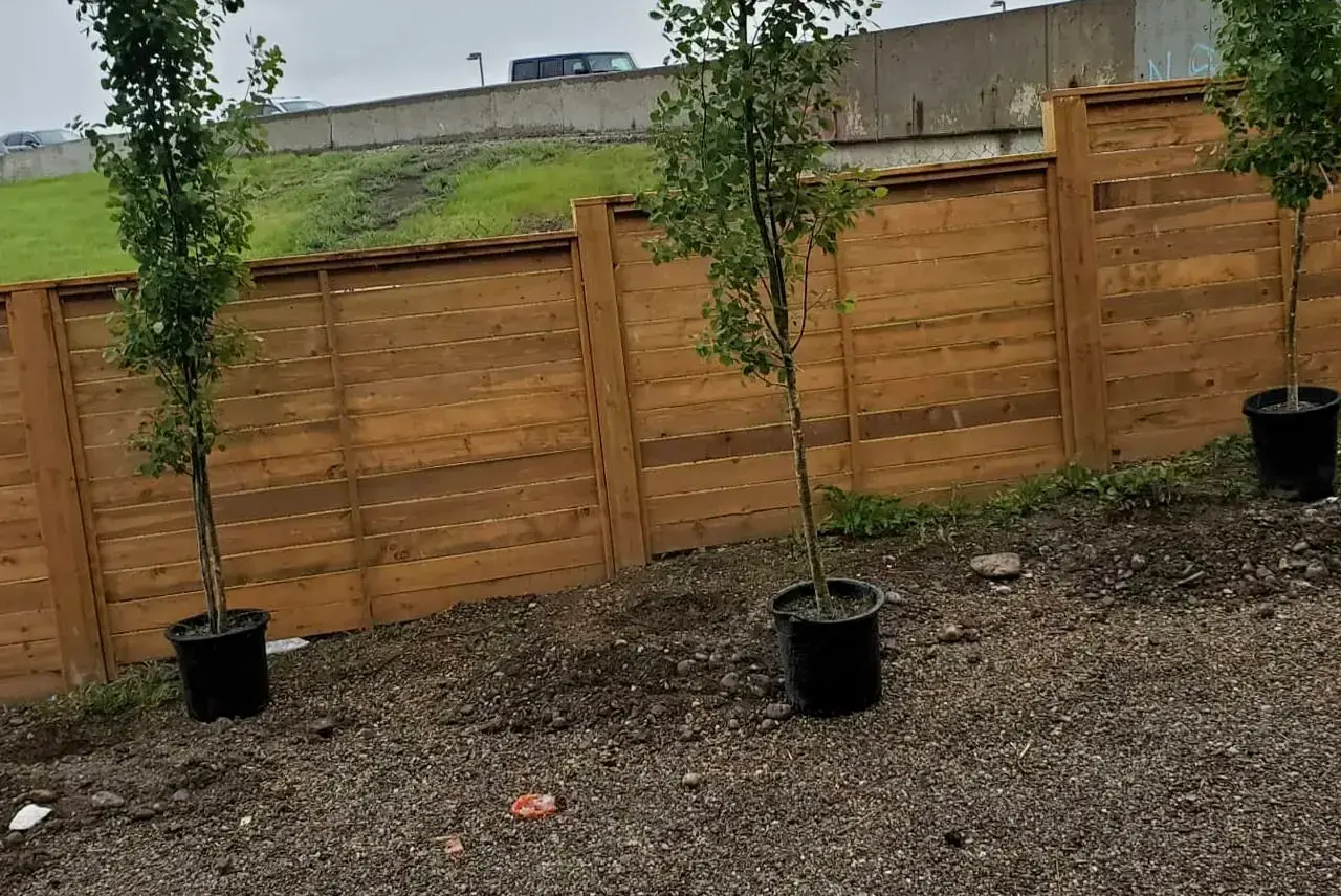 Horizontal slat fence showcasing contemporary design and craftsmanship